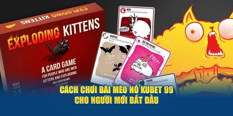 cach-choi-bai-meo-no-hubet-cho-nguoi-moi-bat-dau