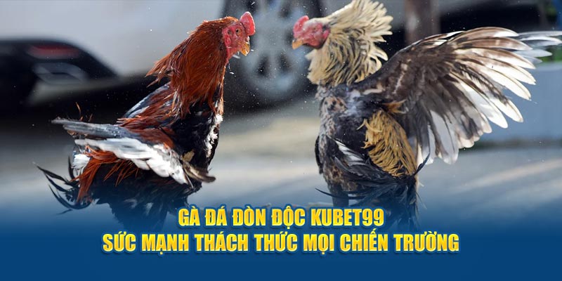 ga-da-don-doc-hubet-suc-manh-thach-thuc-moi-chien-truong