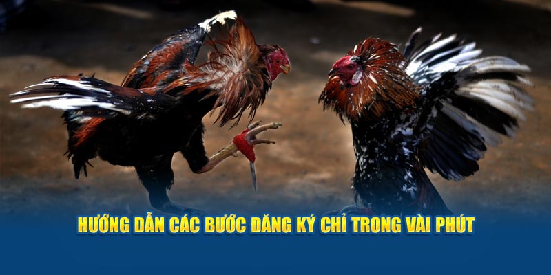 huong-dan-cac-buoc-dang-ky-chi-trong-vai-phut