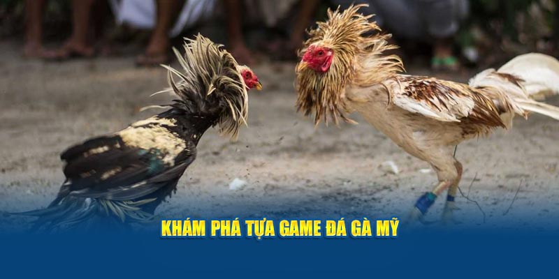 kham-pha-tua-game-da-ga-my