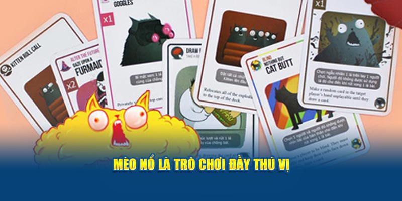 meo-no-la-tro-choi-day-thu-vi