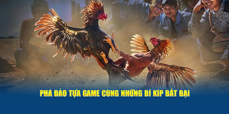 pha-dao-tua-game-cung-nhung-bi-kip-bat-bai