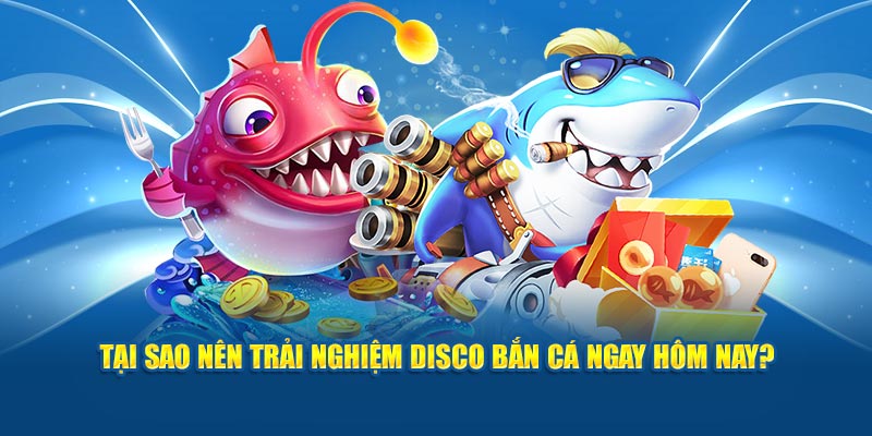 tai-sao-nen-trai-nghiem-disco-ban-ca-ngay-hom-nay